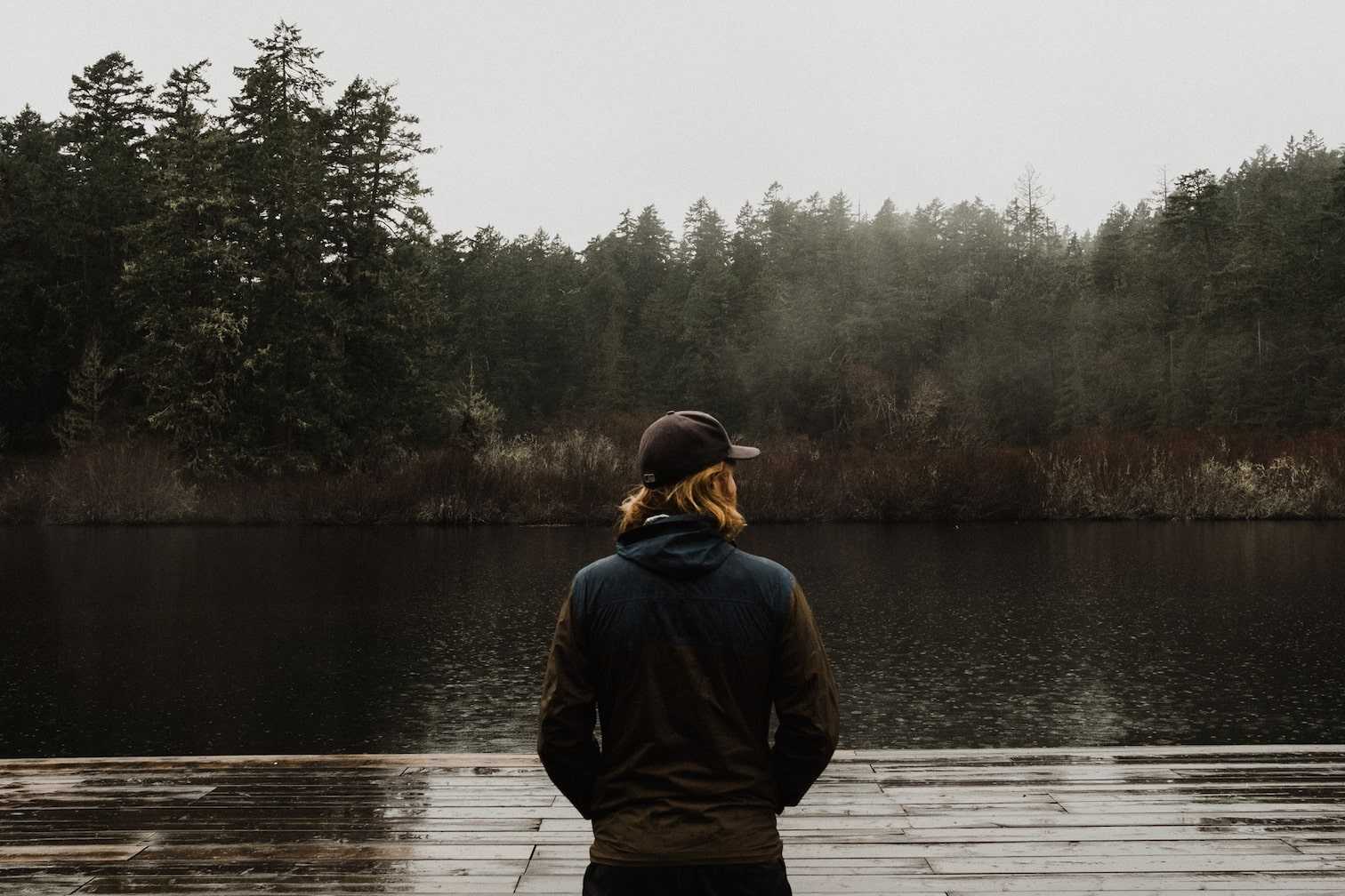  landing video cover